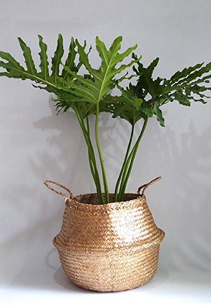 Cocoboo - Gold Painted Seagrass Belly Basket, Storage, Laundry basket, Handmade, Lightweight, Foldable (14 x 13 inches) Large